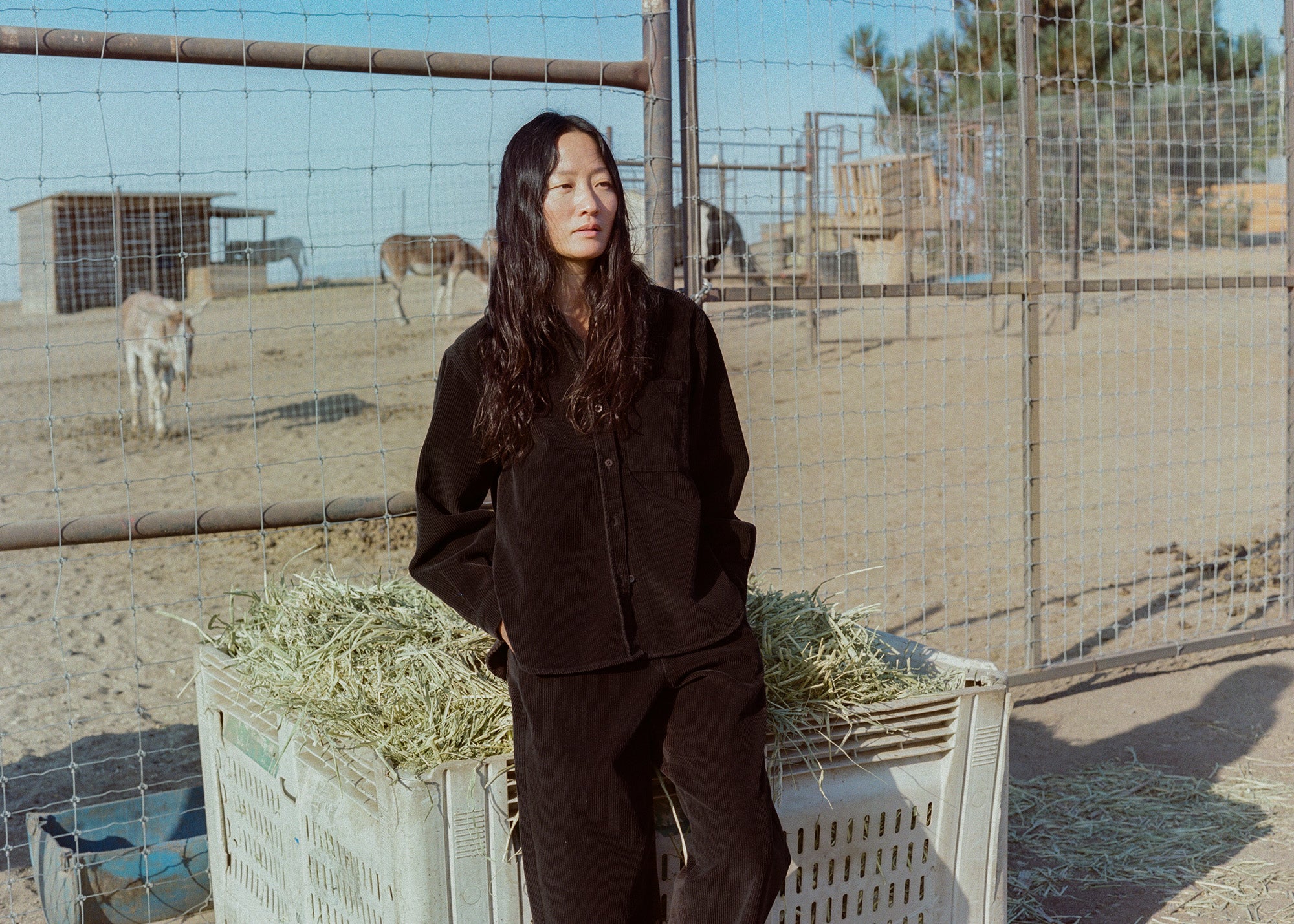 (Imperfect) Field Pant, Corduroy, Brown