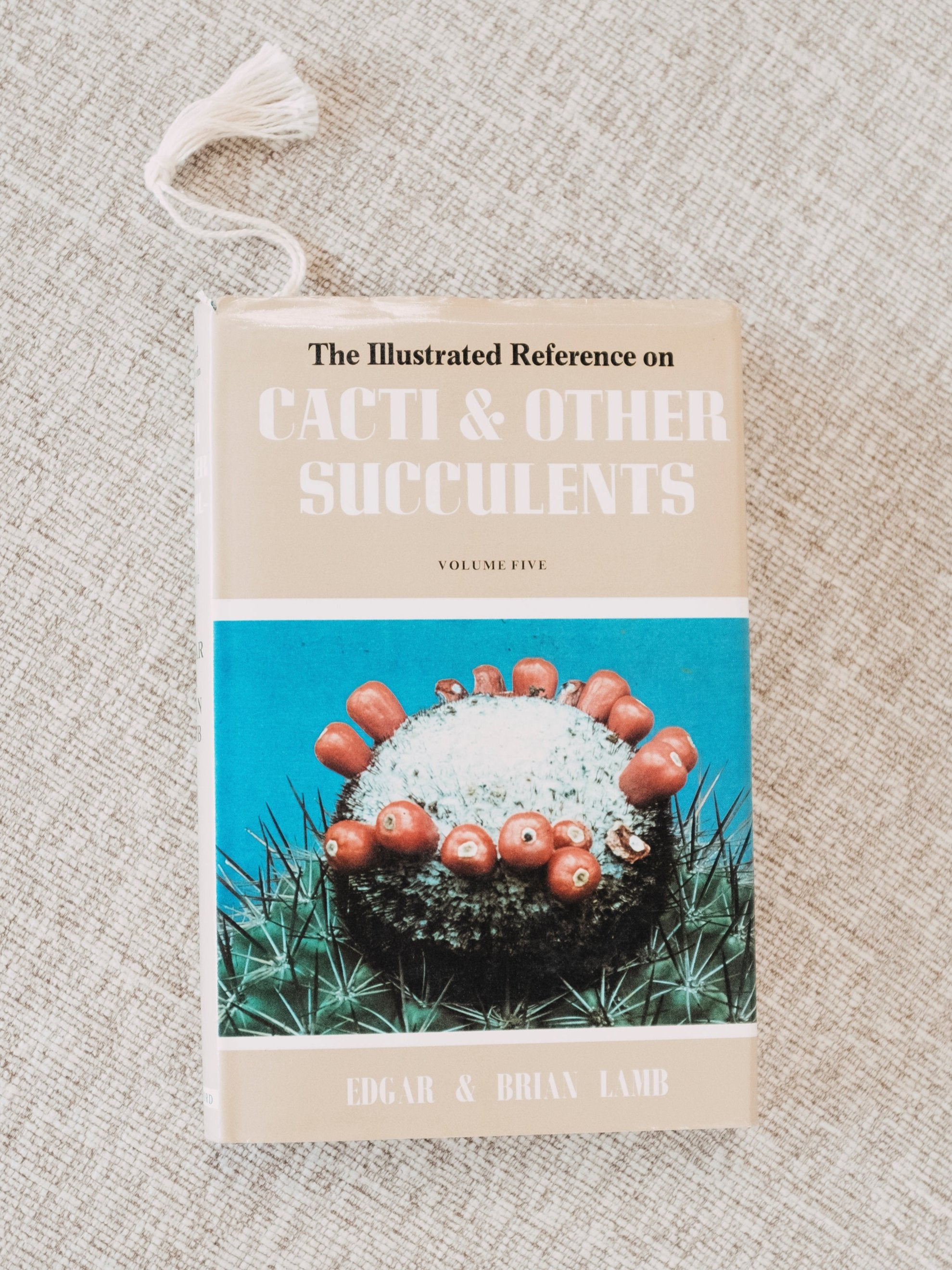 Cacti & Other Succulents
